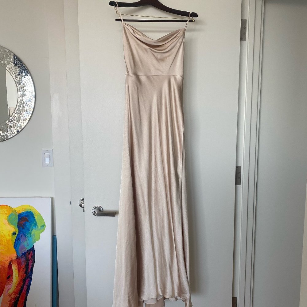 Fame and Partners Champagne Black Tie Dress